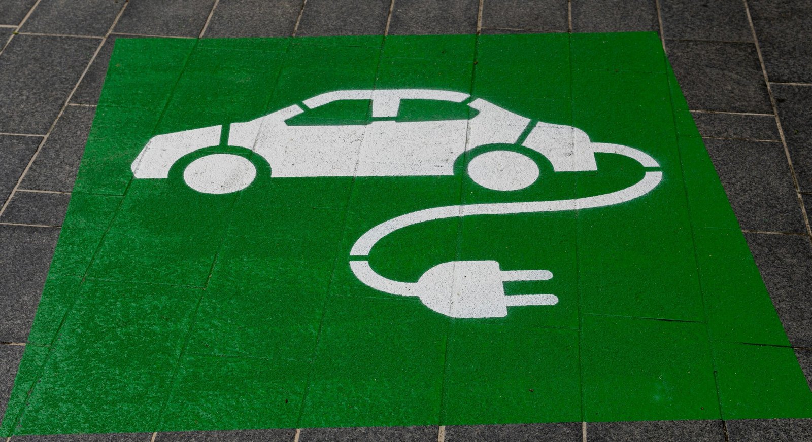 electric vehicle protection policy