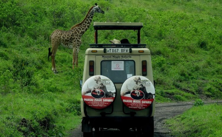  Ce riscuri acoperă o asigurare de călătorie pentru Africa?
