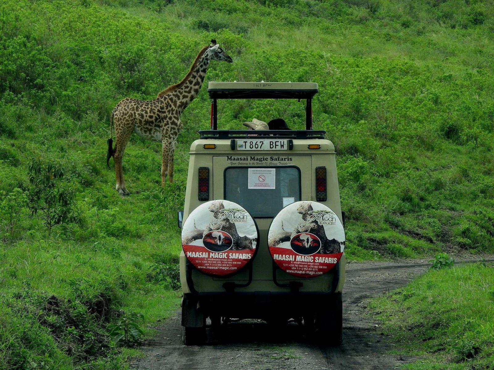Asigurare călătorie Africa
